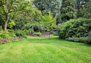 Optimiser l'expérience du jardin à Grezieu-la-Varenne